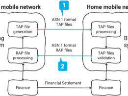 ASN.1 Format Configuration